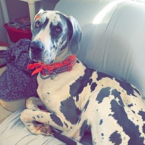 Meet your Posher, Mandy